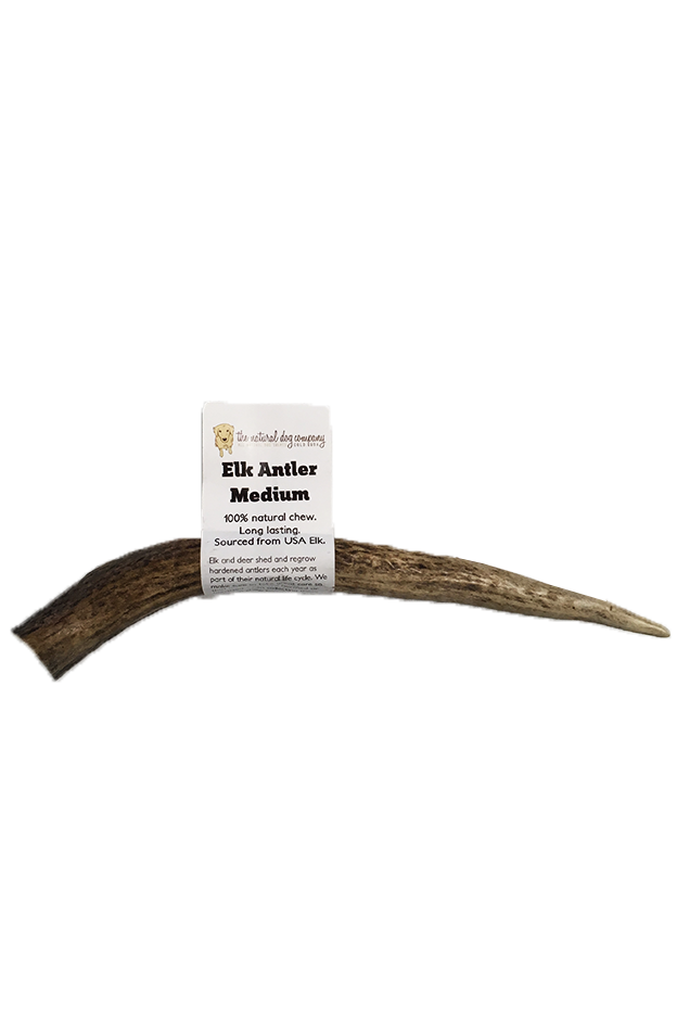 Natural Dog Co. Elk Antler, Medium